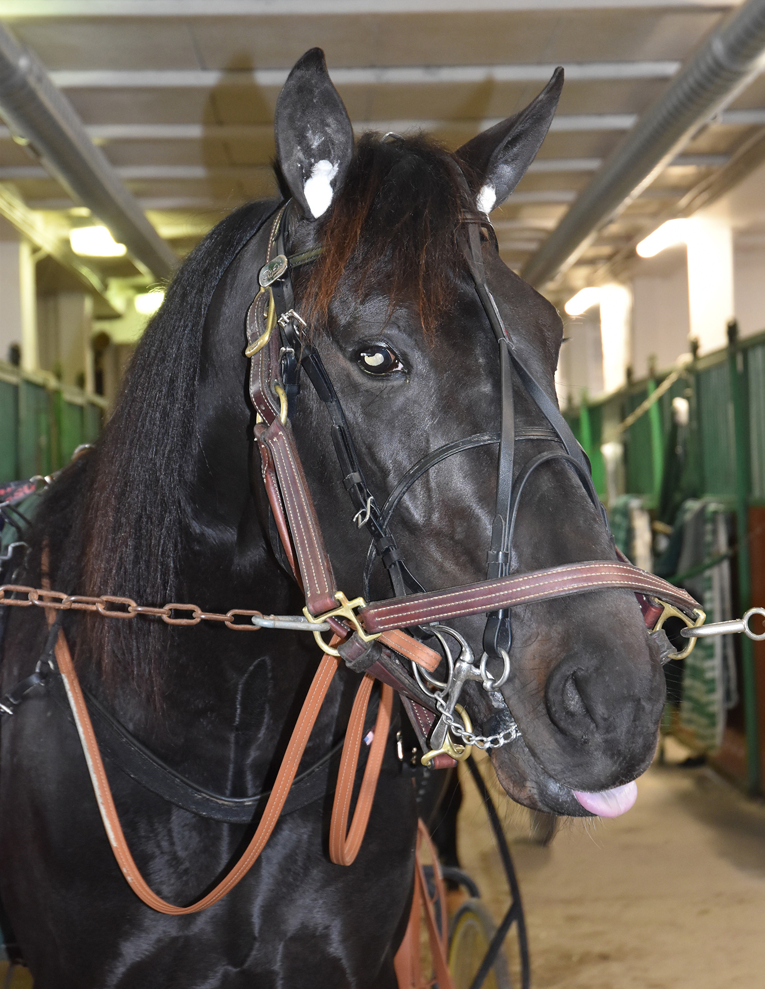 Hitting Hard 250310-12